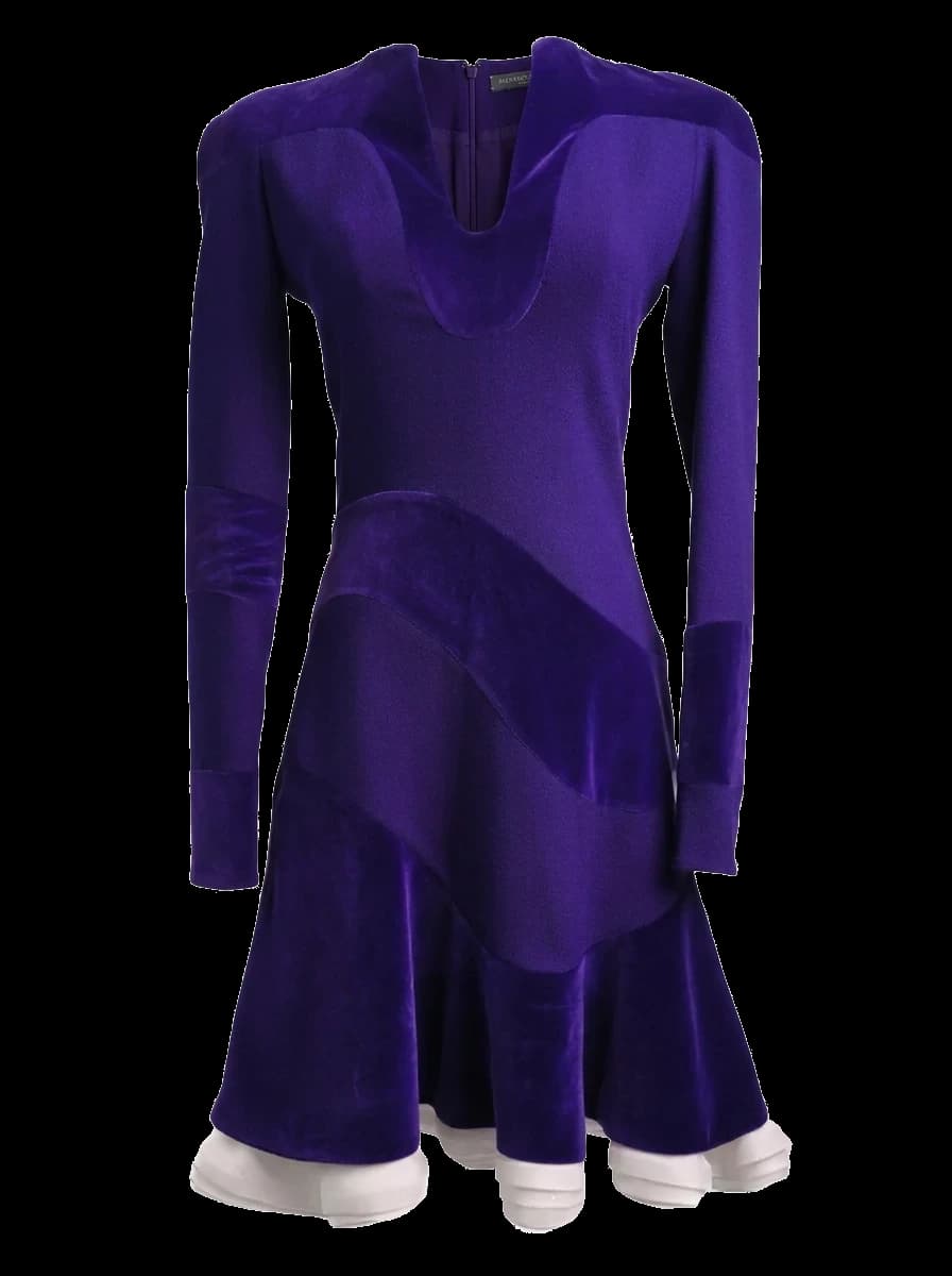 Alexander McQueen Purple Cotton Evening Gown — photo 1